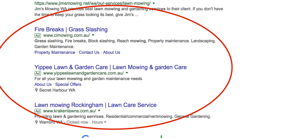 Adwords Agency Perth Ultimate Guide Ad Example